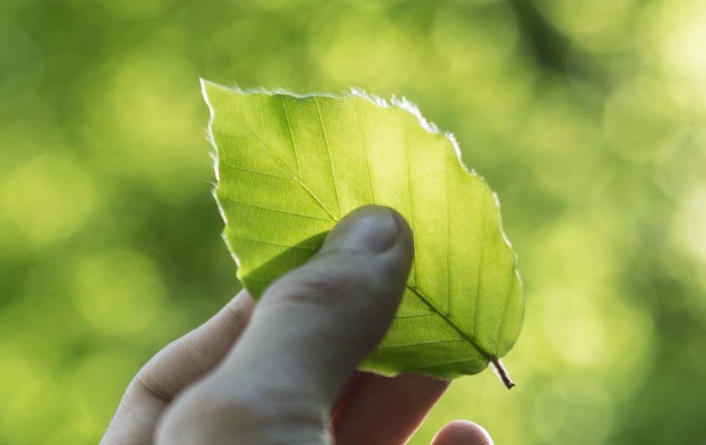 minimalizácia vplyvu dopravy na prírodu